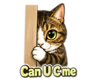 856988026