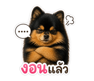 856988111