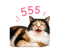 856988625