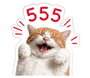 856988843