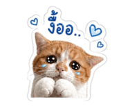 856988851