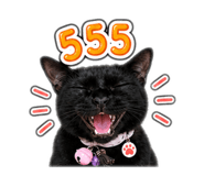 856989011