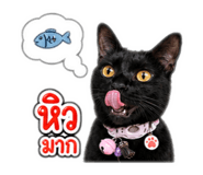 856989016
