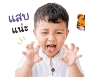 856990505