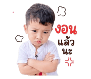 856990516