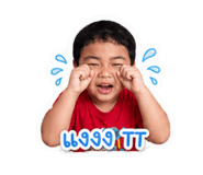 856990566