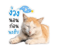 856990603