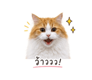 856991458
