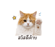 856991461