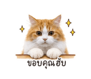856991468