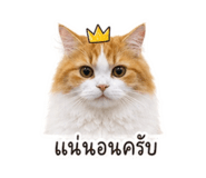 856991471
