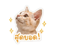 856991623