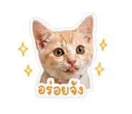 856991626
