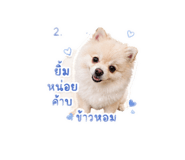 856991865