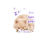856991866