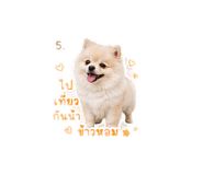856991867