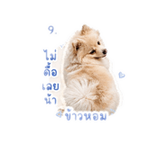 856991870