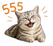 856992706