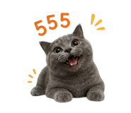 856992745