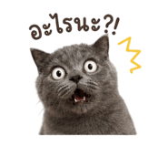 856992760