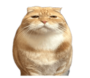 856992810