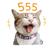 856993083