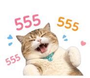 856993299