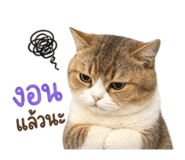 856993305