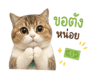 856993311