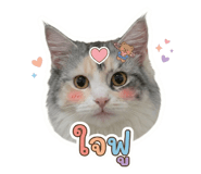 856993435