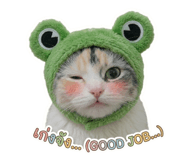 856993441