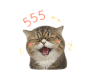856993564