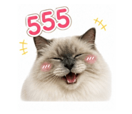 856994466