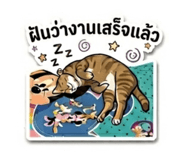 856994550
