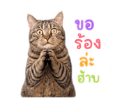 856994758