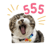 856994976
