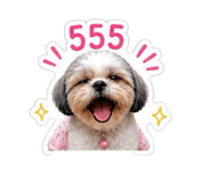 856994995