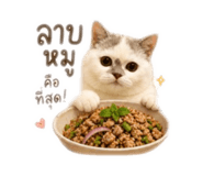 856995009
