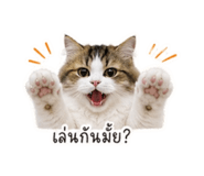 856995039