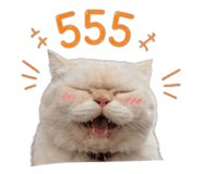 856995810