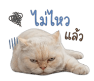 856995816
