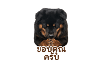 856995830