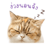 856996672