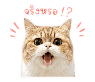 856996678