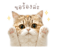 856996679
