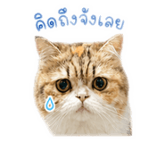 856996680