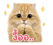 856996935