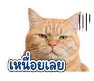 856997124