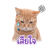 856997466