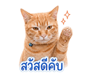 856997478